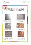 寻找春天的树_01.jpg